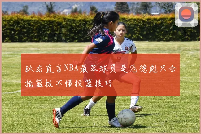 狄龙直言NBA最笨球员是范德彪只会抢篮板不懂投篮技巧